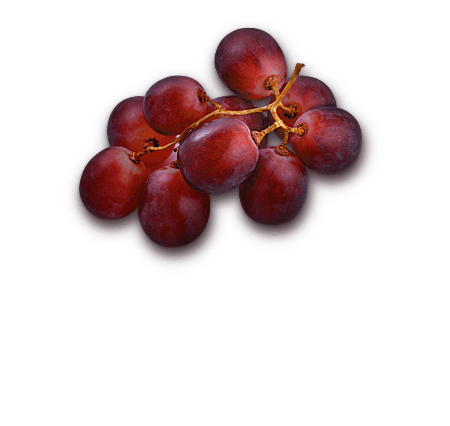 ブドウ種子ポリフェノール